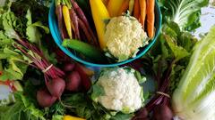 Foods Good For Eyes: খেয়াল রাখুন আপনার চোখের স্বাস্থ্যের, নজর দিন খাওয়া-দাওয়ায়, কী কী রাখবেন পাতে?