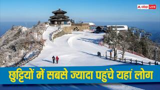 Tourism 2024 :  हिमाचल की इस जगह पर पहुंचे सबसे ज्यादा पर्यटक, बनी लोगों की फेवरेट डेस्टिनेशन