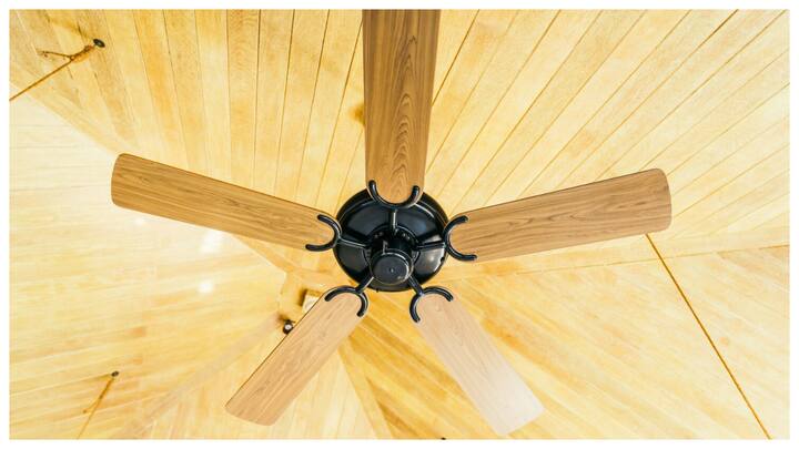 वैक्यूम क्लीनर का उपयोग करें: वैक्यूम क्लीनर से पंखे की धूल खींच लें. बस वैक्यूम का हैंडल पकड़ें और पंखे के नीचे रखें.