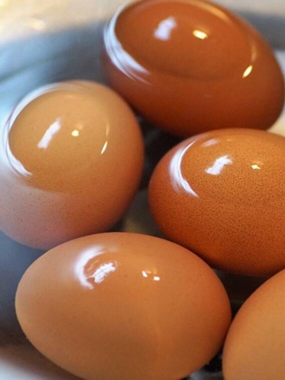 वर्जिन लड़कों की पेशाब से बनती है ये डिश