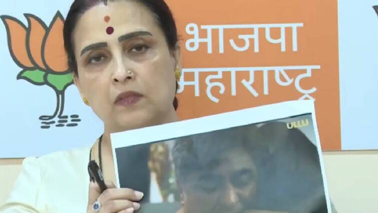 Chitra Wagh Maharashtra Bjp Leader Criticized Shiv Sena Ubt On Lok Sabha Election Campaign 9918