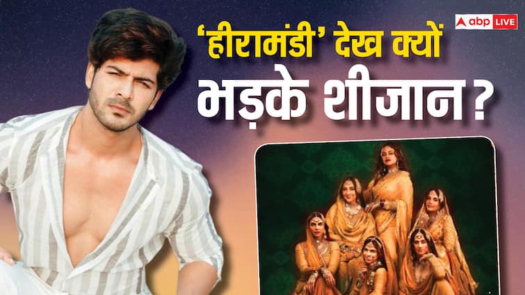 Sheezan Khan slams actors in Sanjay Leela Bhansali ott released Heeramandi except Farida Jalal 'क्यों भाई क्यों?', संजय लीला भंसाली की 'हीरामंडी' देख क्यों भड़क गए शीजान खान, पोस्ट कर वेब सीरीज में निकाल दी ये कमी