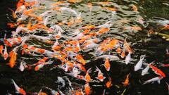 100 साल से भी ज़्यादा ज़िंदा रहते हैं ये जानवर, कुछ जानवरों की उम्र होती है 200 साल भी ज्यादा