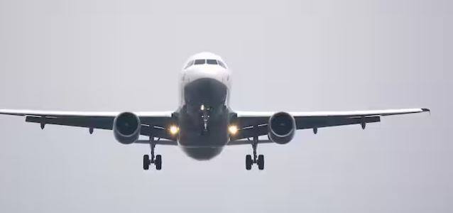 ਉਸ ਸਮੇਂ ਤੁਹਾਡੀ ਪ੍ਰਤੀਕਿਰਿਆ ਕੀ ਹੋਵੇਗੀ? ਦਰਅਸਲ, ਅਸੀਂ ਤੁਹਾਨੂੰ ਅਜਿਹੇ ਹੀ ਇੱਕ ਫਲ ਬਾਰੇ ਦੱਸਣ ਜਾ ਰਹੇ ਹਾਂ। ਇਨ੍ਹਾਂ ਫਲਾਂ ਨੂੰ ਹਵਾਈ ਜਹਾਜ਼ਾਂ ਵਿਚ ਲਿਜਾਣ ਦੀ ਸਖ਼ਤ ਮਨਾਹੀ ਹੈ।