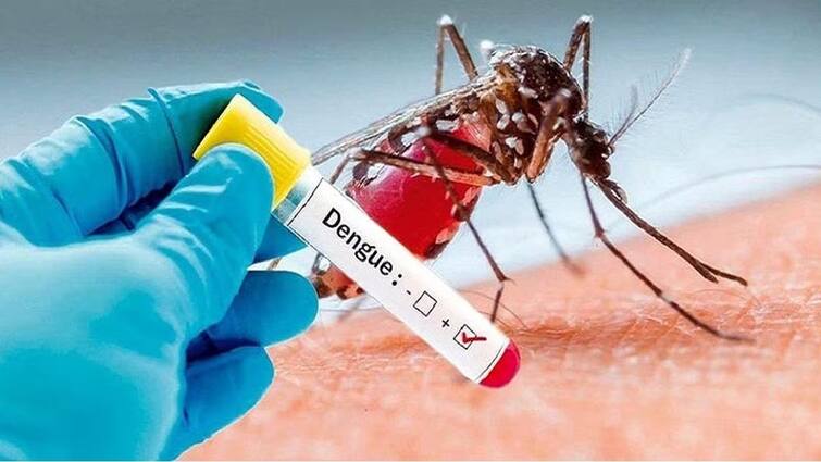 After 40 lakh people were affected by dengue in the last 4 months in Brazil, the country's government is raising awareness among the public to prevent it. Dengue In Brazil: 4 மாதங்களில் 40 லட்சம் பேர் பாதிப்பு.. பிரேசிலில் தீயாய் பரவும் டெங்கு காய்ச்சல்..