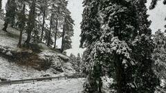 Lok Sabha Elections: अनंतनाग-राजौरी सीट का चुनाव टालने पर विवाद, इलेक्शन कमीशन के खिलाफ पीडीपी का प्रदर्शन