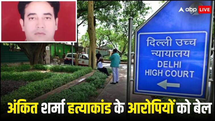 Delhi Riots Case High Court Gived Bail IB officer Ankit Sharma Murder Three accused Delhi Riots Case: IB अधिकारी अंकित शर्मा की हत्या के मामले में 3 आरोपियों को जमानत, नाले से बरामद हुआ था शव
