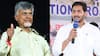Elections 2024: Several Millionaires In AP Battle. TDP's Pemmasani Chandra Sekhar Leads With Rs 5,705 Cr Assets