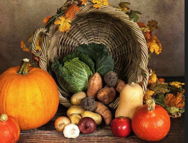 ਹੁਣ ਇਹ ਸਵਾਲ ਸੁਣ ਕੇ ਤੁਹਾਡੇ ਦਿਮਾਗ ਵਿਚ ਦੌੜ ਲੱਗ ਗਈ ਹੋਵੇਗੀ ਕਿ ਉਹ ਫਲ ਕਿਹੜਾ ਹੈ? ਤਾਂ ਆਓ ਤੁਹਾਨੂੰ ਦੱਸ ਦੇਈਏ ਕਿ ਨਾਰੀਅਲ ਇੱਕ ਅਜਿਹਾ ਫਲ ਹੈ ਜਿਸ ਨੂੰ ਹਵਾਈ ਜਹਾਜ਼ ਵਿਚ ਨਹੀਂ ਲਿਆ ਜਾ ਸਕਦਾ।