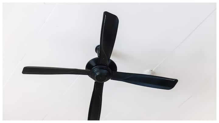 घरेलू क्लीनर बनाएं: थोड़ा सा तेल और नमक मिलाकर एक बाल्टी पानी में डालें. इस पानी से फैन क्लीनर स्टिक को भिगोकर पंखे के ब्लेड पर फेरें.