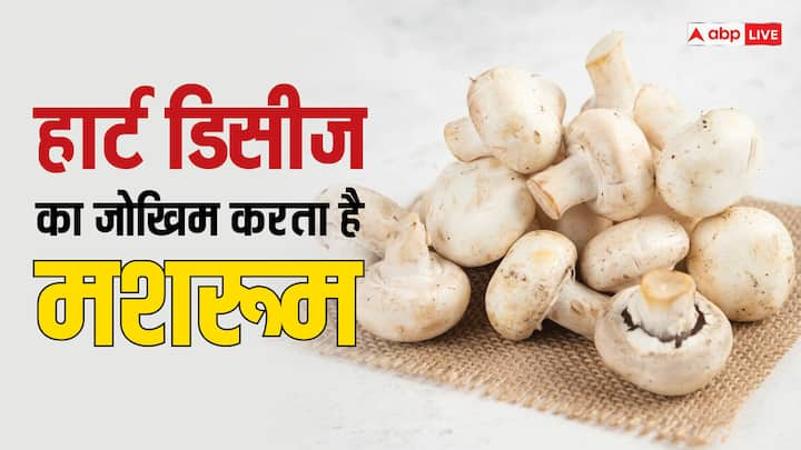 Mushroom Benefits: मशरूम में बीटा-ग्लूकेन भी मौजूद होते हैं, जो कोलेस्ट्रॉल को कम करने में मदद कर सकते हैं. बैड कोलेस्ट्रॉल का हाई लेवल दिल की सेहत का खतरा बढ़ाता है.