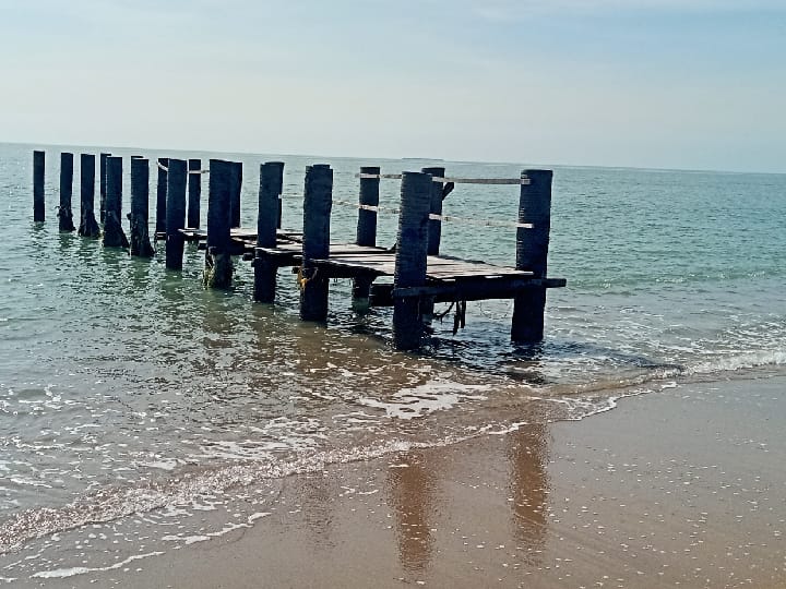 முடங்கி போன தருவைகுளம் சூழல்சார் சுற்றுலா பூங்கா; பராமரிப்பு இல்லாததால் உடைந்து போன கடல் சுற்றுலா படகுதளம்