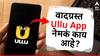Ullu App : भाजपच्या चित्रा वाघ यांनी उल्लेख केलेले उल्लू अॅप नेमकं काय आहे? किती लाख ग्राहक चोरून पाहतात व्हिडीओ?