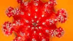 Mumps Outbreak In Delhi NCR: जानिए इस बीमारी के कारण, लक्षण और बचाव का तरीका