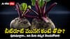 Beetroot for Men: బీట్ రూట్‌‌తో ఆ సామర్థ్యం పెరుగుతుందా? నిపుణులు ఏం చెబుతున్నారంటే?