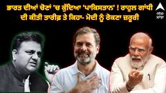 Lok Sabha Election: ਭਾਰਤ ਦੀਆਂ ਚੋਣਾਂ 'ਚ ਕੁੱਦਿਆ 'ਪਾਕਿਸਤਾਨ' ! ਰਾਹੁਲ ਗਾਂਧੀ ਦੀ ਕੀਤੀ ਤਾਰੀਫ਼ ਤੇ ਕਿਹਾ- ਮੋਦੀ ਨੂੰ ਰੋਕਣਾ ਜ਼ਰੂਰੀ