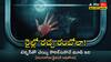Best Thriller Movies On OTT: అర్థరాత్రి, అడవి మధ్యలో రైలు ఆగిపోతే? ప్రయాణికులకు చుక్కలు చూపించే వింత జీవి, ఆ సీన్స్‌కు గుండె జారిపోద్ది!