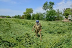 Fasal Bima Yojana: इस सरकारी योजना से होती है किसानों के नुकसान की पूरी भरपाई, टेंशन हो जाएगी खत्म