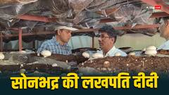 सोनभद्र में महिलाएं जल्द बनेंगी लखपति दीदी, मशरूम की खेती से लाखों की हो रही कमाई