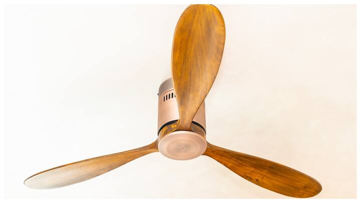 फैन क्लीनर स्टिक: एक लंबी छड़ी जिसके अंत में सफाई का कपड़ा लगा हो. इसे बाजार से ले आएं और पंखे के ब्लेड को आसानी से पोंछ दें.