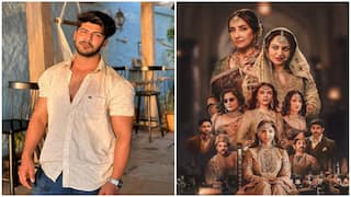 TV Actor Sheezan Khan 'Disappointed' With Bhansali's 'Heeramandi': 'Nobody Could Speak Urdu Apart From...'