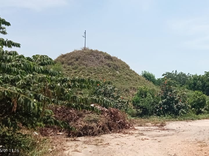 குப்பை கிடங்கில் பயோ டைவர்சிட்டி பார்க்கா?; சாதித்து காட்டிய  தூத்துக்குடி மாநகராட்சி