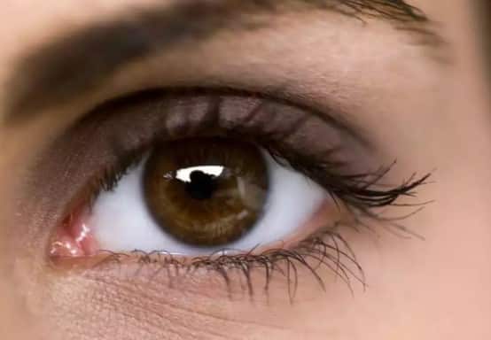 Never ignore these symptopms of high cholestrol level in eyes   આંખોની આસપાસની આ 3 સમસ્યાઓ હોઈ શકે છે હાઈ કોલેસ્ટ્રોલના લક્ષણો, તરત જ થઈ જાઓ સાવધાન 