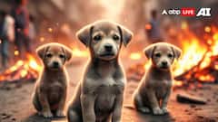 मानवता शर्मशार! श्रीगंगानगर में कुत्ते के 3 मासूम पिल्लों को पैर बांधकर जिंदा जलाया, आरोपी की तलाश जारी