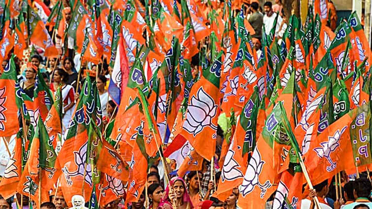 Lok sabha election 2024 BJP Announced Candidate Raebareli Seat Dinesh Pratap Singh BJP Candidate List 2024: बीजेपी ने रायबरेली से उतारा उम्मीदवार, जानें किसे मिला टिकट
