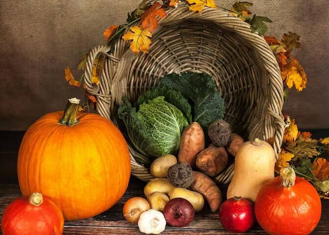 હવે આ સવાલ સાંભળીને તમને સવાલ થશે કે આ ફળનું નામ શું છે? તો ચાલો તમને જણાવી દઈએ કે નાળિયેર એક એવું ફળ છે જેને વિમાનમાં લઈ શકાતું નથી.