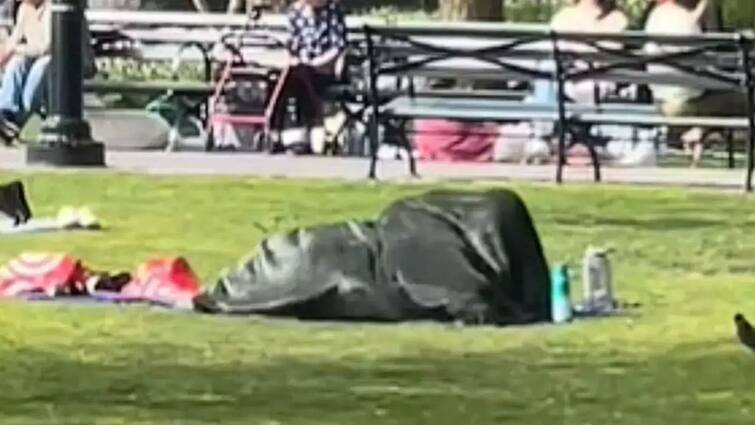 Couple was doing this dirty act openly in the park people made video that goes viral on social media पार्क में खुलेआम कपल कर रहा था ये गंदी हरकत, लोगों ने वीडियो बनाकर कर दिया वायरल