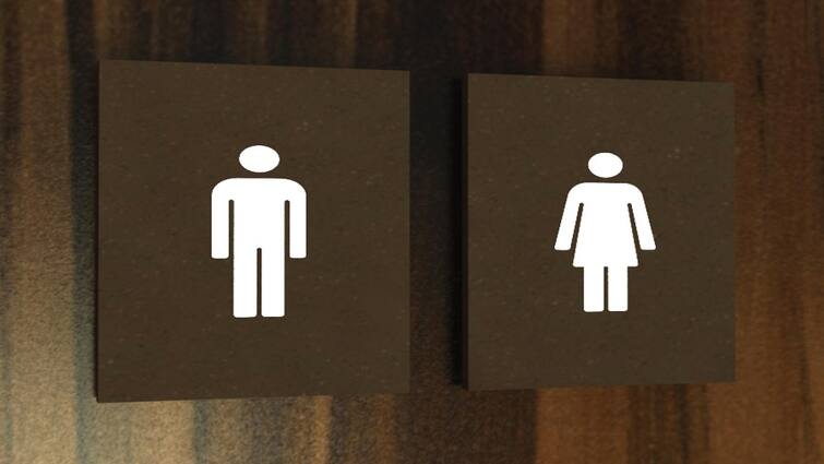 Utility News: You can also use the toilet of a 5 star hotel very few people will know this rule Utility News: 5 સ્ટાર હોટલના ટોયલેટનો પણ ઉપયોગ કરી શકો છો તમે, ઘણા ઓછા લોકા જાણતા હશે આ નિયમ