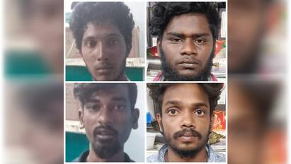 Tirupur crime Four persons arrested for selling cow dung as ganja - TNN கஞ்சா எனக்கூறி மாட்டு சாணம் விற்பனை - திருப்பூரில் 4 இளைஞர்கள் கைது