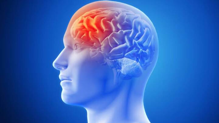 Brain Stroke: बढ़ती गर्मी इंसान के लिए एक मुसीबत बनी हुई है. गर्मी में अचानक से ब्रेन स्ट्रोक कई मामले सामने आ रहे हैं.