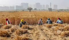 આ સરકારી યોજના ખેડૂતોના નુકસાનની સંપૂર્ણ ભરપાઈ કરે છે, ટેન્શન થશે સમાપ્ત