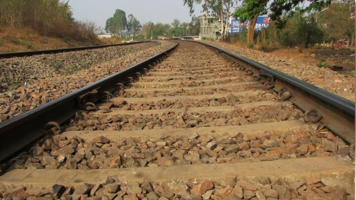 Tamil Nadu: Pregnant Woman Enroute To Baby Shower Dies After Falling From Moving Train, Investigation Underway Tamil Nadu: Pregnant Woman Enroute To Baby Shower Dies After Falling From Moving Train, Investigation Underway