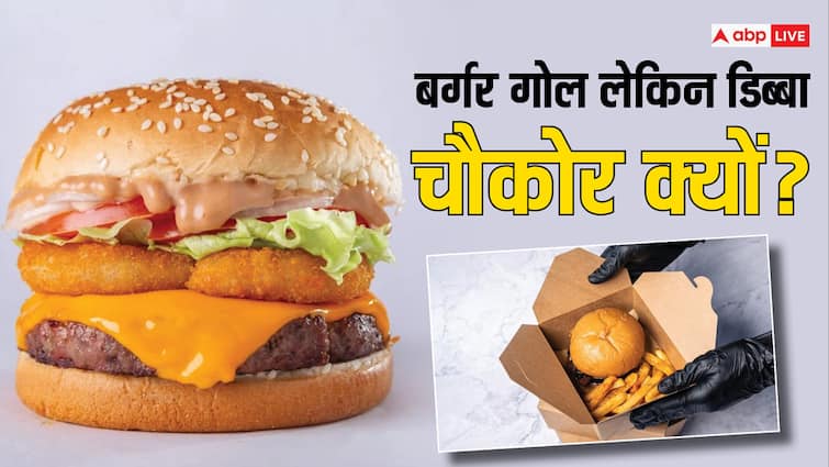 The burger is round but its box is square why is it so Burger Box is Square: बर्गर तो गोल होता है, लेकिन इसका डिब्बा चौकोर, आखिर ऐसा क्यों होता है?