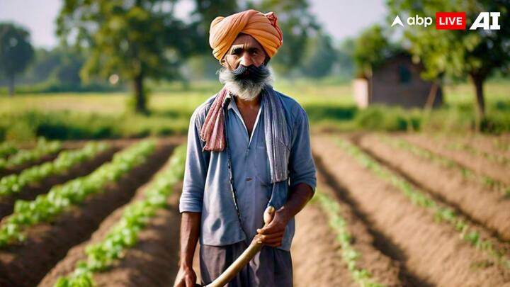 अगर किसी किसान की फसल प्राकृतिक कारणों से बर्बाद हो गई है तो किसान, फसल बीमा योजना का लाभ उठा सकते हैं. ये केंद्र सरकार की योजना है, जिसके लिए किसानों को हर साल प्रीमियम देना होता है.