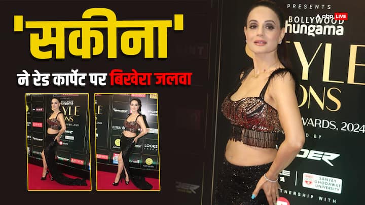 Ameesha Patel Look: अमीषा पटेल बॉलीवुड की जानी-मानी एक्ट्रेस में से एक हैं. अमीषा ने बॉलीवुड में कई फिल्मों में काम किया है. फिल्म 'गदर' से हर तरफ छाने वाली एक्ट्रेस आज भी बेहद खूबसूरत हैं.