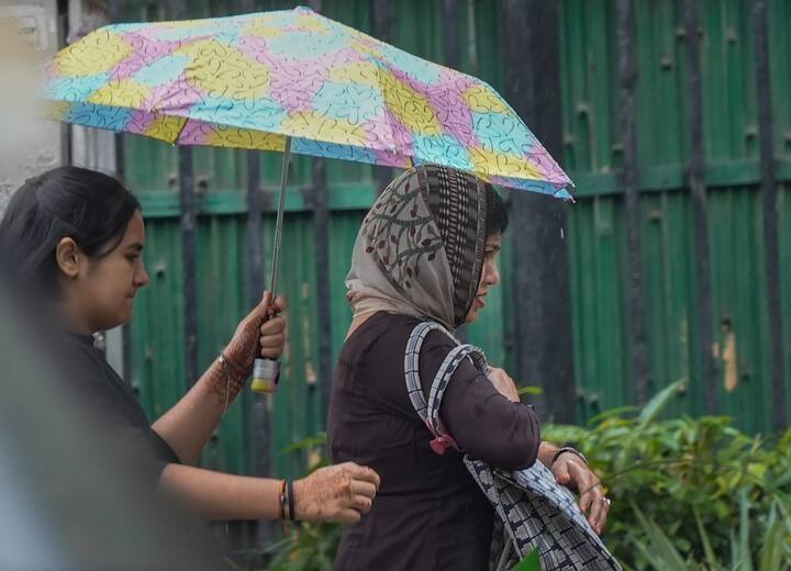 પરંતુ આ સમય દરમિયાન લોકોના મનમાં વારંવાર પ્રશ્ન આવે છે કે ઉનાળામાં સૂર્યથી બચાવવા માટે કયા રંગની છત્રી શ્રેષ્ઠ છે.