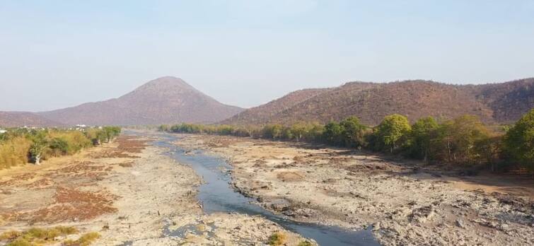 Dharmapuri news Cauvery river due to lack of monsoon rains and heat waves is waterless after six-five years - TNN பருவமழையின்மை, வெப்ப அலை... 5 ஆண்டுகளுக்கு பிறகு நீரின்றி பாறைகளாக காட்சியளிக்கும் காவிரி ஆறு