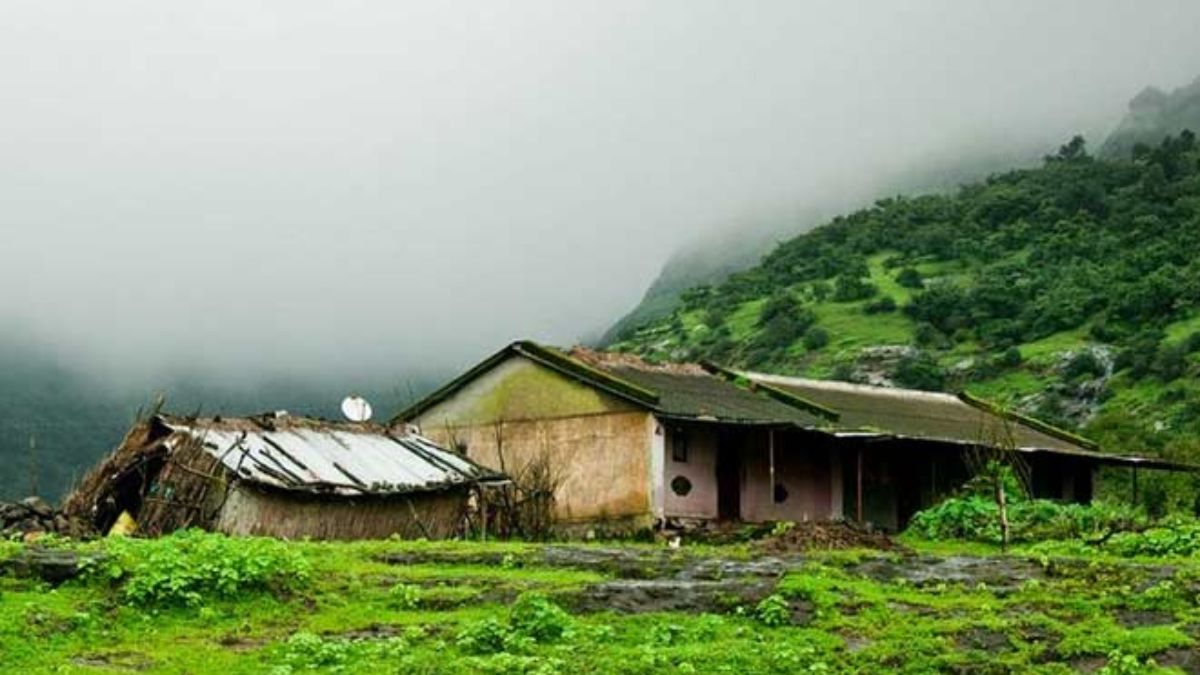 Travel : हिमाचल, उत्तराखंडही पडतील फिके! महाराष्ट्रातील 'हे' उत्कृष्ट हिल स्टेशन, निसर्गसौंदर्य पाहाल, तर मंत्रमुग्ध व्हाल..