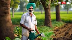 फसल खराब होने पर किन किसानों को मिलता है मुआवजा, जान लें अपने काम की ये बात