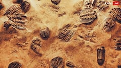 The Gates of Hell: कहां है 'नर्क का दरवाजा', हर तरफ कभी बिखरे रहते थे कंकाल, जानिए