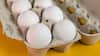 How To Check Eggs: कैसे चेक करें कि जो अंडा खरीदा है, वह फ्रेश है या नहीं? समझ लीजिए पूरा प्रोसेस