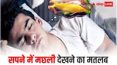 सपने में अगर मछली दिखाई दे तो समझ लें जीवन में  लगने जा रही है बड़ी लॉटरी