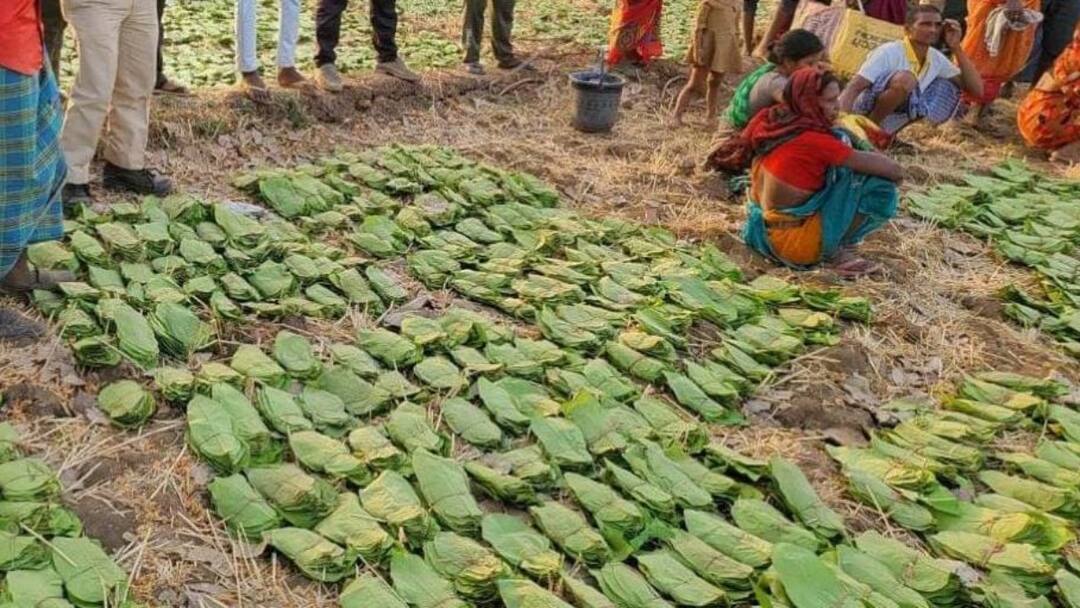 छत्तीसगढ़ में तेंदूपत्ता संग्रहण का काम पिछड़ा, वन विभाग की तैयारी पूरी, जानें कब शुरू होगा काम? Korba Tendu Leaf News Usually collection started from 1st to 2nd May ann छत्तीसगढ़ में तेंदूपत्ता संग्रहण का काम पिछड़ा, वन विभाग की तैयारी पूरी, जानें कब शुरू होगा काम?