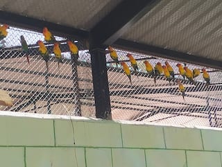 ஒகேனக்கல்லில் பயணிகளை கவர பறவைகள் பூங்கா, 7D திரையரங்கு  - இன்னும் ஓரிரு நாட்களே