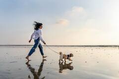 Karishma Tanna PHOTO: દરિયા કિનારે મસ્તી કરતી જોવા મળી કરિશ્મા તન્ના, તસવીરો થઈ વાયરલ