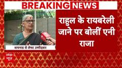 Congress Candidate List: 'वो वायनाड की जनता के साथ..' - Rahul के रायबरेली से लड़ने पर बोलीं एनी राजा